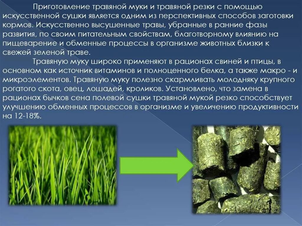 Какие основные способы подготовки кормов. Технология приготовления травяной муки. Схема заготовки травяной муки. Технология заготовки травяной муки. Производство зеленой травяной муки.