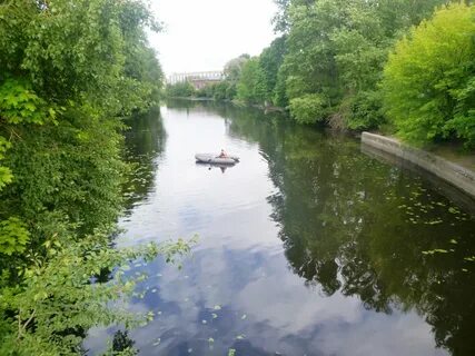 Река таракановка санкт петербург