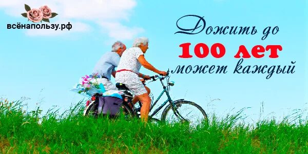 Как дожить до ста лет проект