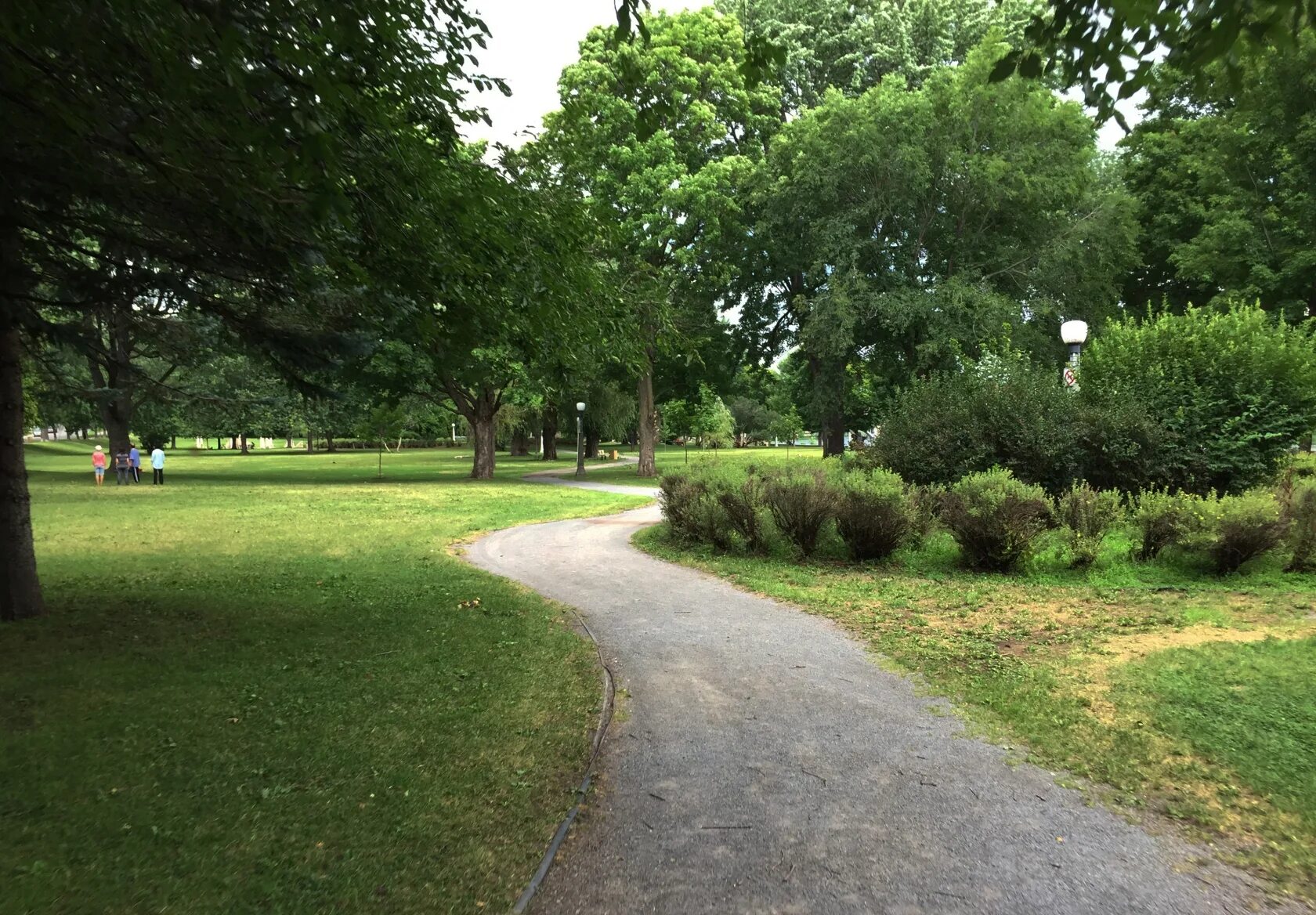 Ботаничка парк. X path. X path. Bypass login. X path.