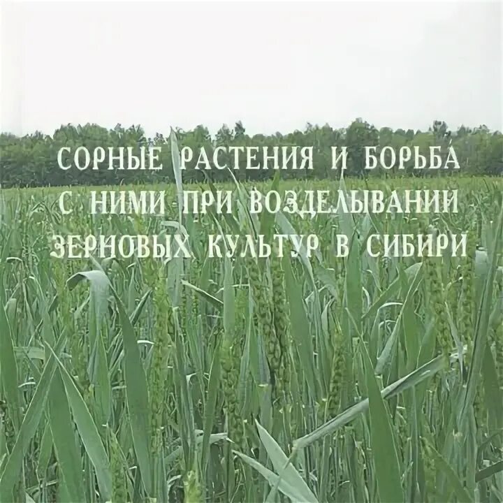 Книга сорняки. Книги по сорным травам. Возделывание зерновых культур.