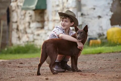 True dogs