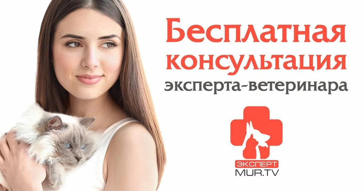 Бесплатная ветеринарная консультация по телефону