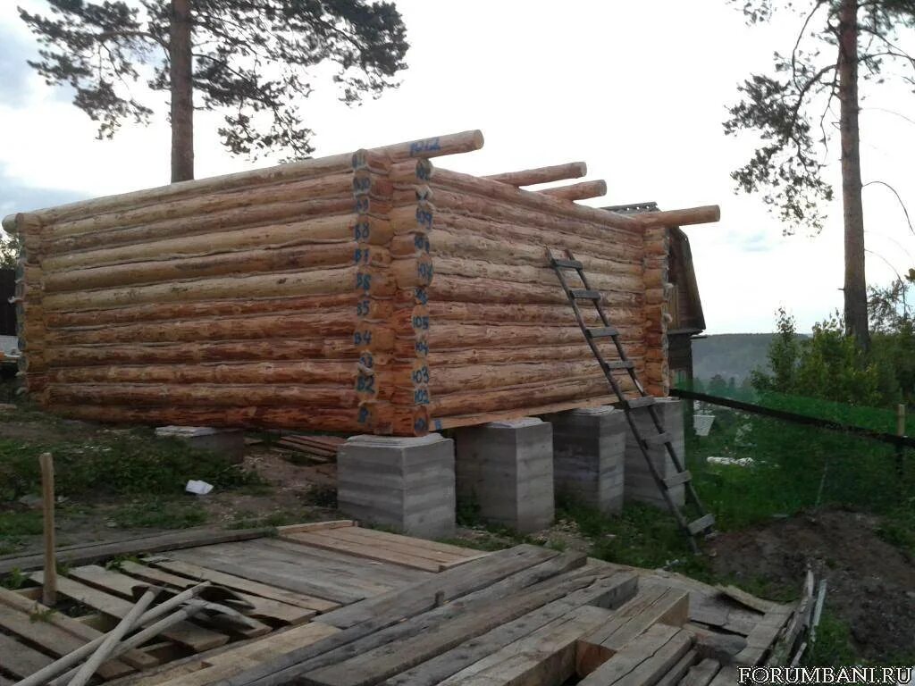 Какой фундамент бани бревна. Баня сруб 6 на 4 на столбчатом фундаменте. фундамент для сруба 6х6. фундамент под сруб 6х6. столбчатый фундамент под сруб.