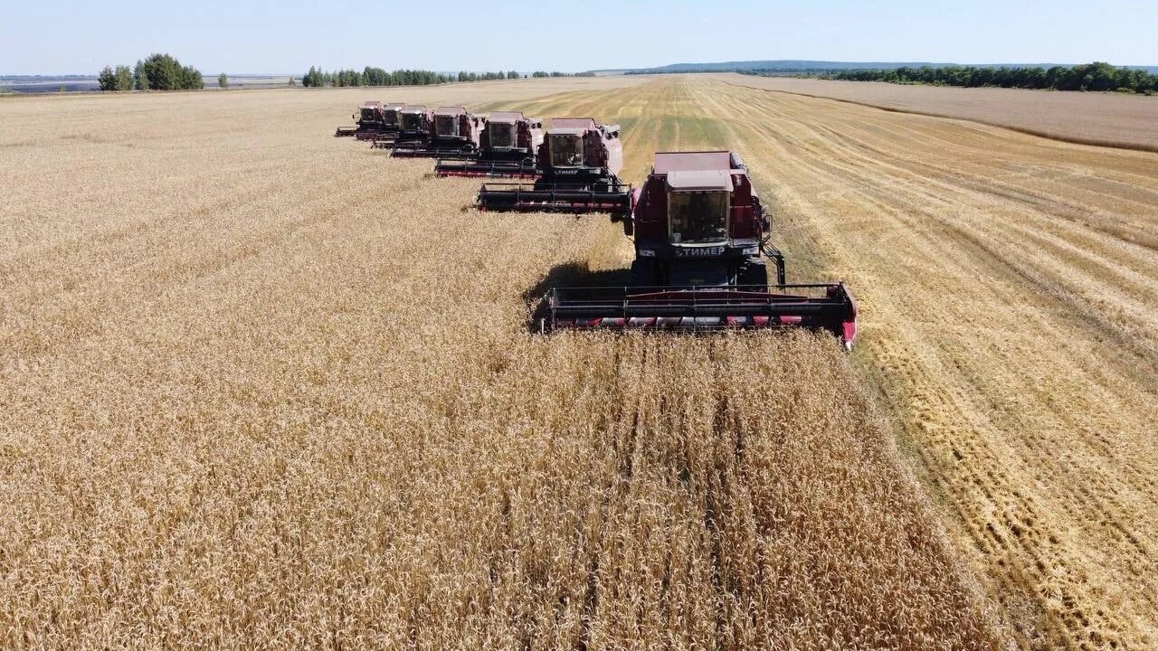 Сельхозтехника ульяновская область. 999 мд сельхозтехника юмз. Case ih axial-flow 7010. Сельхозтехника ульяновская область. Сельхозтехника ульяновская область.
