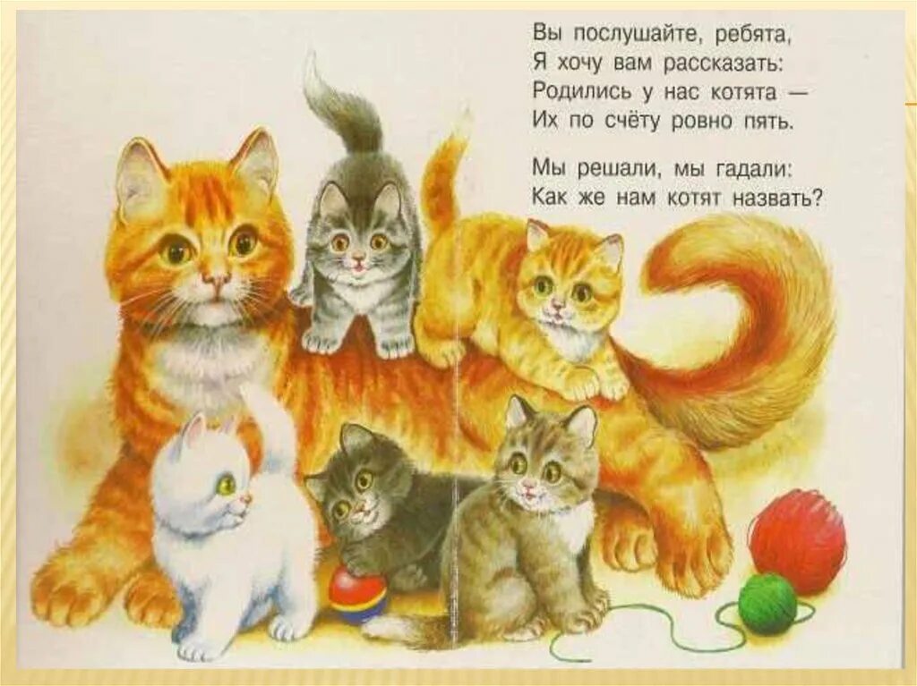 Сергея Михалкова котята. Котята стихотворение Михалкова. 1 кошка и 5 котят
