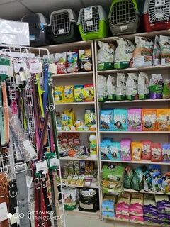 Зоомагазин рыжий
