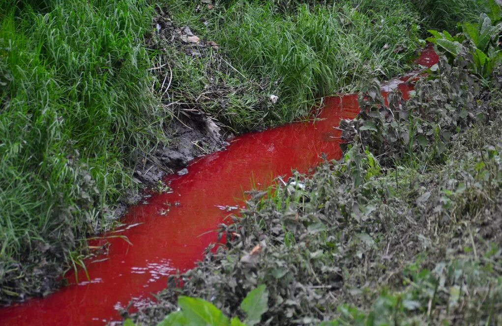 Flowing down. Кровавый ручей Blood Creek , 2008,. Кровавый ручей Муртыгит.