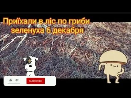 3 6 декабря