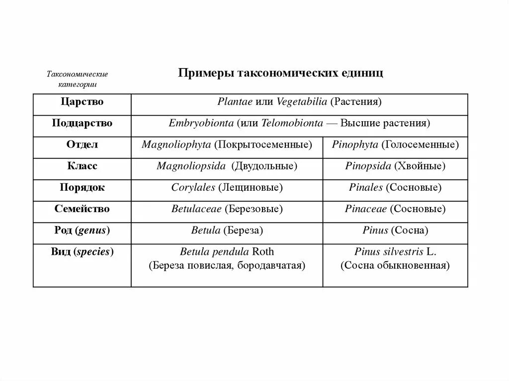 Классификация растений таксоны. Таксономические классы растений. Систематика таксонов растений. Таксономические таксономические единицы.