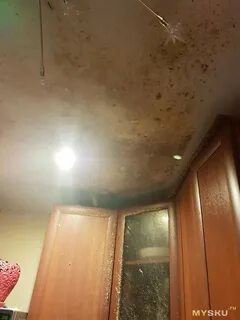 Мультиварка взорвалась почему