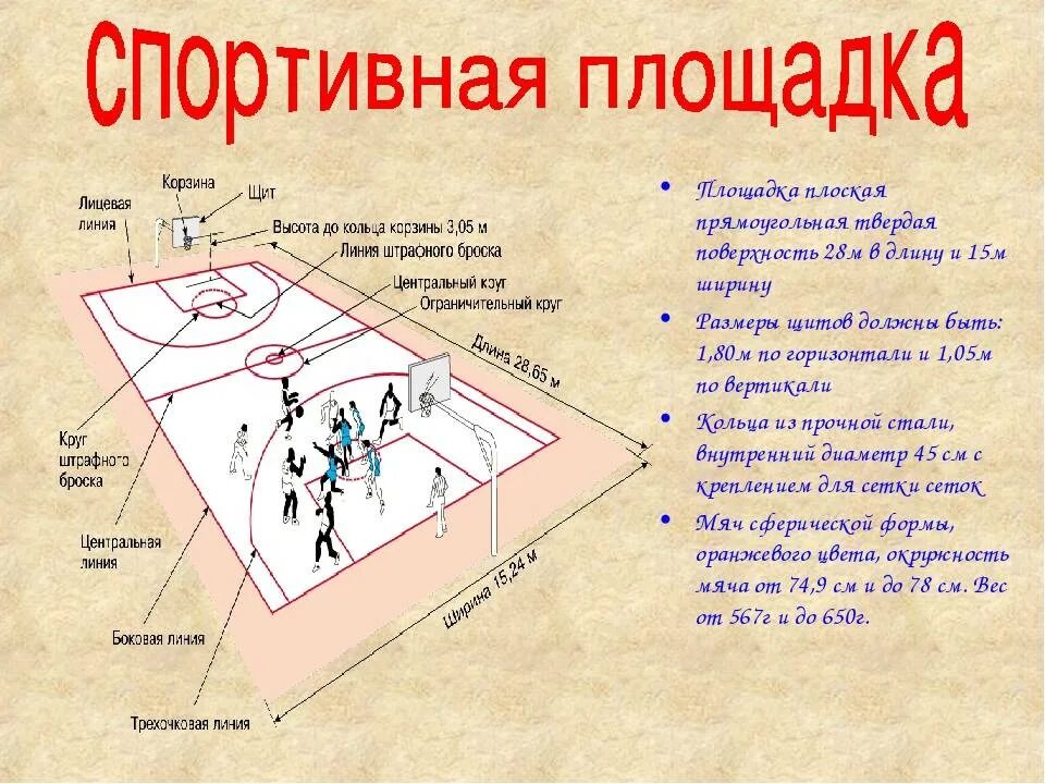 Баскетбольная площадка схема. Линии баскетбольной площадки с названиями. Лицевая линия баскетбольной площадки. Игровое поле баскетбола.