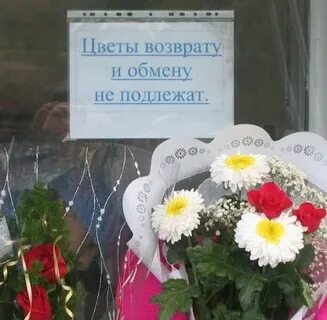 Вернуть цветы