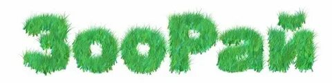 Зоорай
