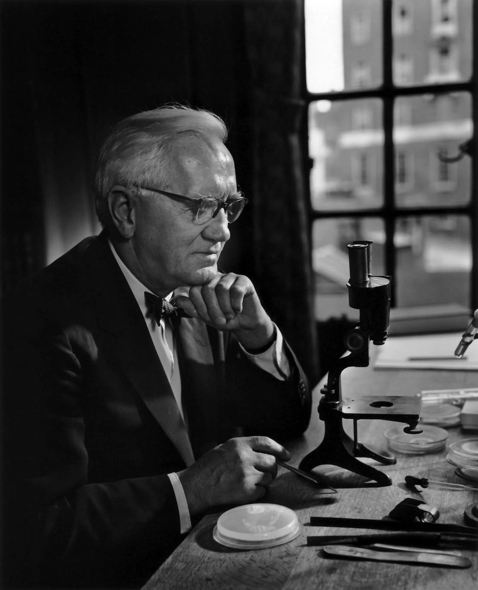 Alexander fleming discovered penicillin