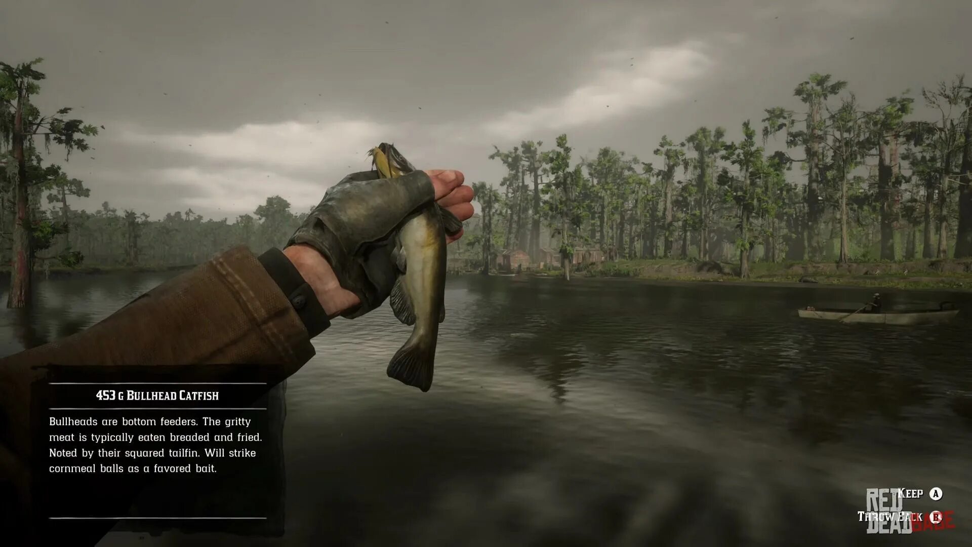 Легендарная рыба red dead. Rdr2 channel Catfish. Легендарный канальный сом rdr 2. Legendary giant Catfish РДР 2. Legendary Bullhead Catfish rdr2.