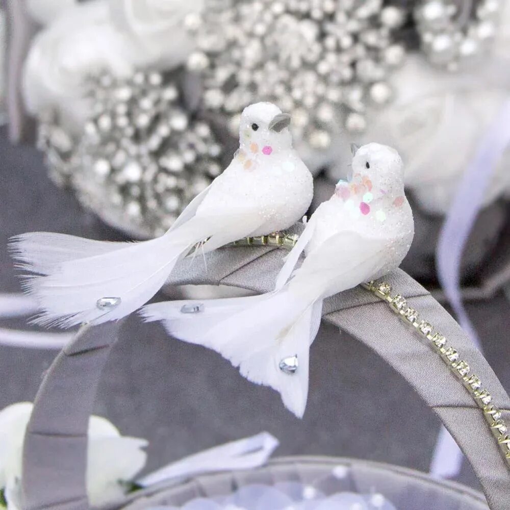 Ручной голубь. Свадебные голуби. Семья голубей. Свадебные голуби. Свадебные голуби.