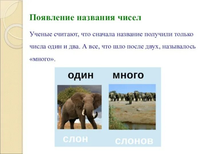 Это получило название чего. Это получило название чего