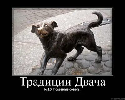 Копипаста что это