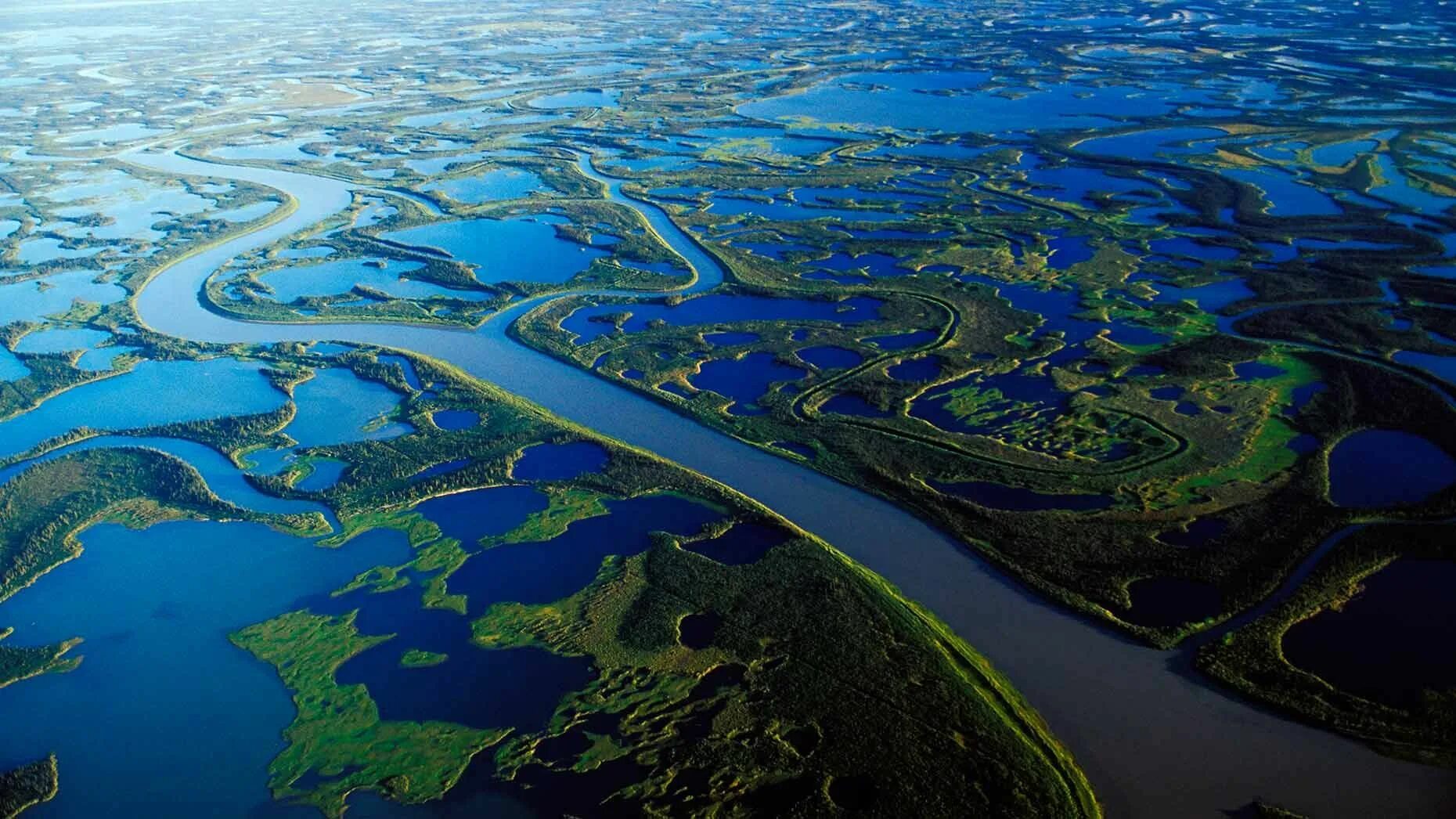 Северная Америка река Маккензи. Дельта реки Маккензи. Река Маккензи Канада. Дельта река Маккензи фото.