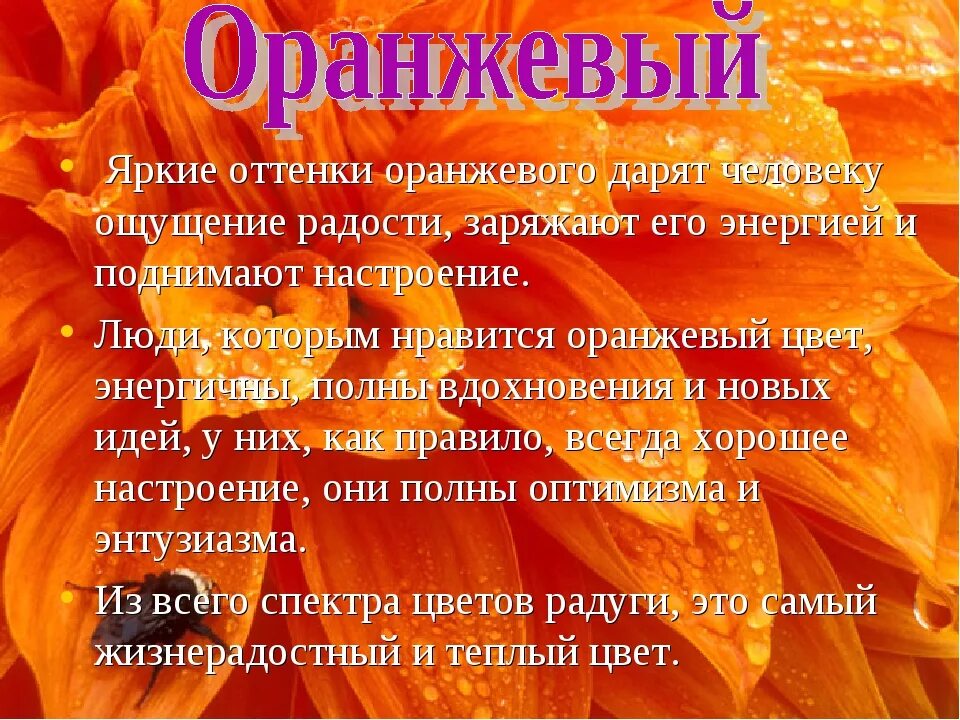 Суть оранжевый. Описание оранжевого цвета. оранжевый цвет в психологии. стих про оранжевый цвет. оранжевый цвет значение.