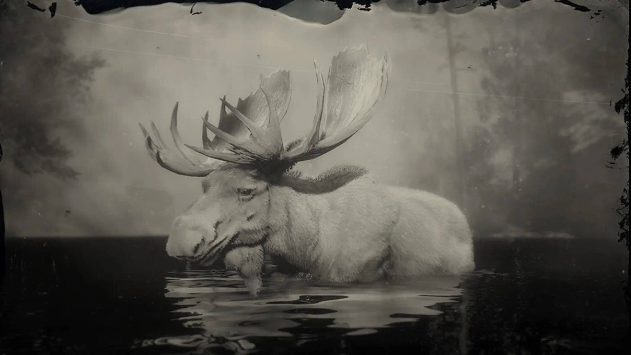 Red dead redemption 2 лось. Легендарный лось rdr 2. moose рдр 2.