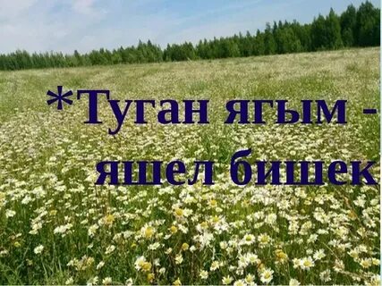 Туган ягым татарстан