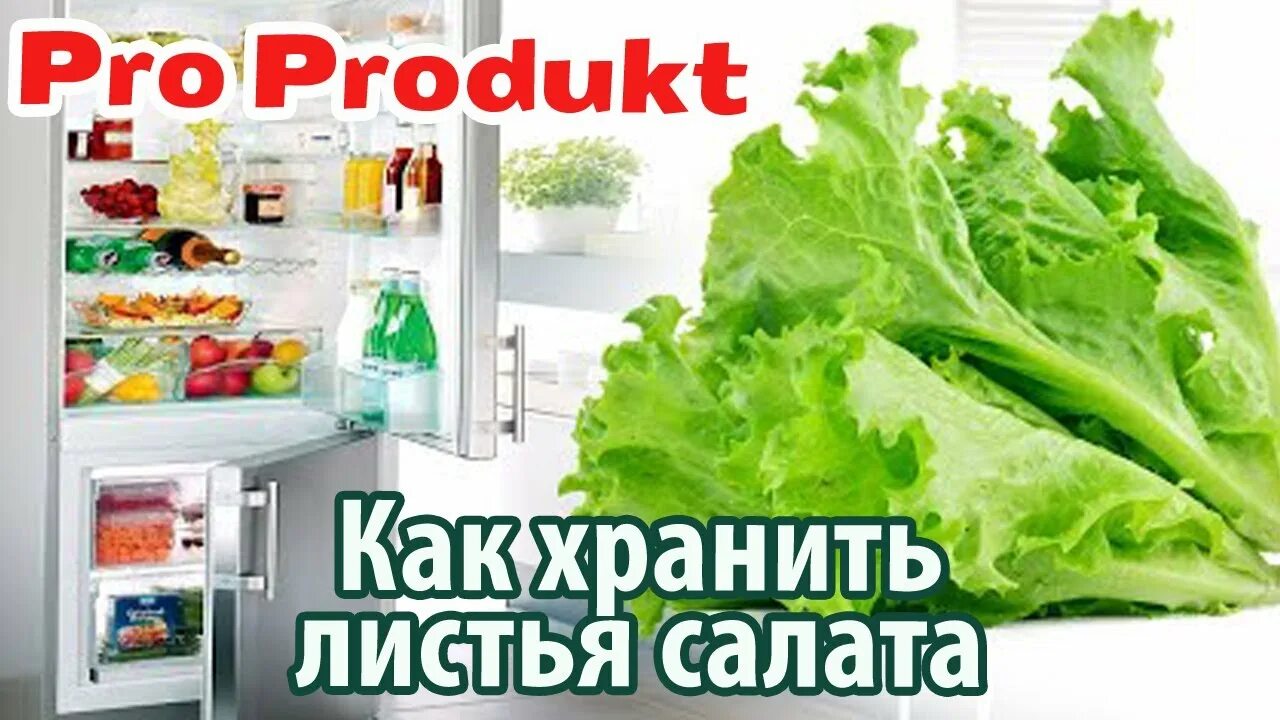 Как сохранить листочки. Как сохранить листья салата свежими в холодильнике. как сохранить листья салата свежими. как хранить листья салата в холодильнике. как хранить салат листовой в холодильнике.