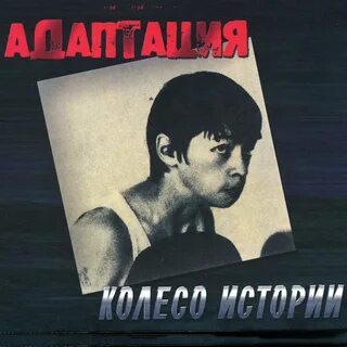 Колесо адаптации