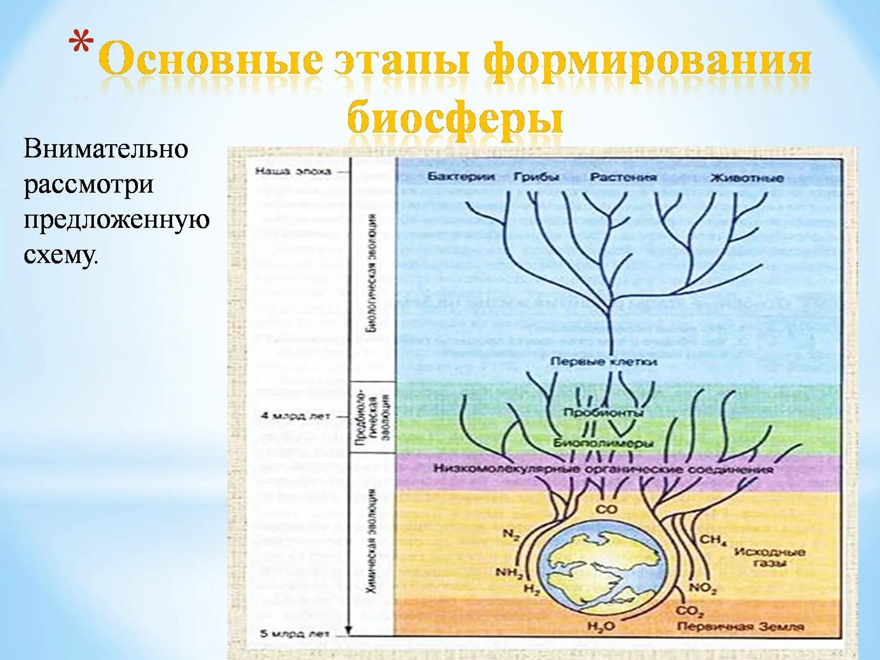 Начальный этап развития жизни биология. Основные этапы биосферы. Этапы формирования биосферы. Начальный этап развития биосферы. Исторические этапы развития биосферы.