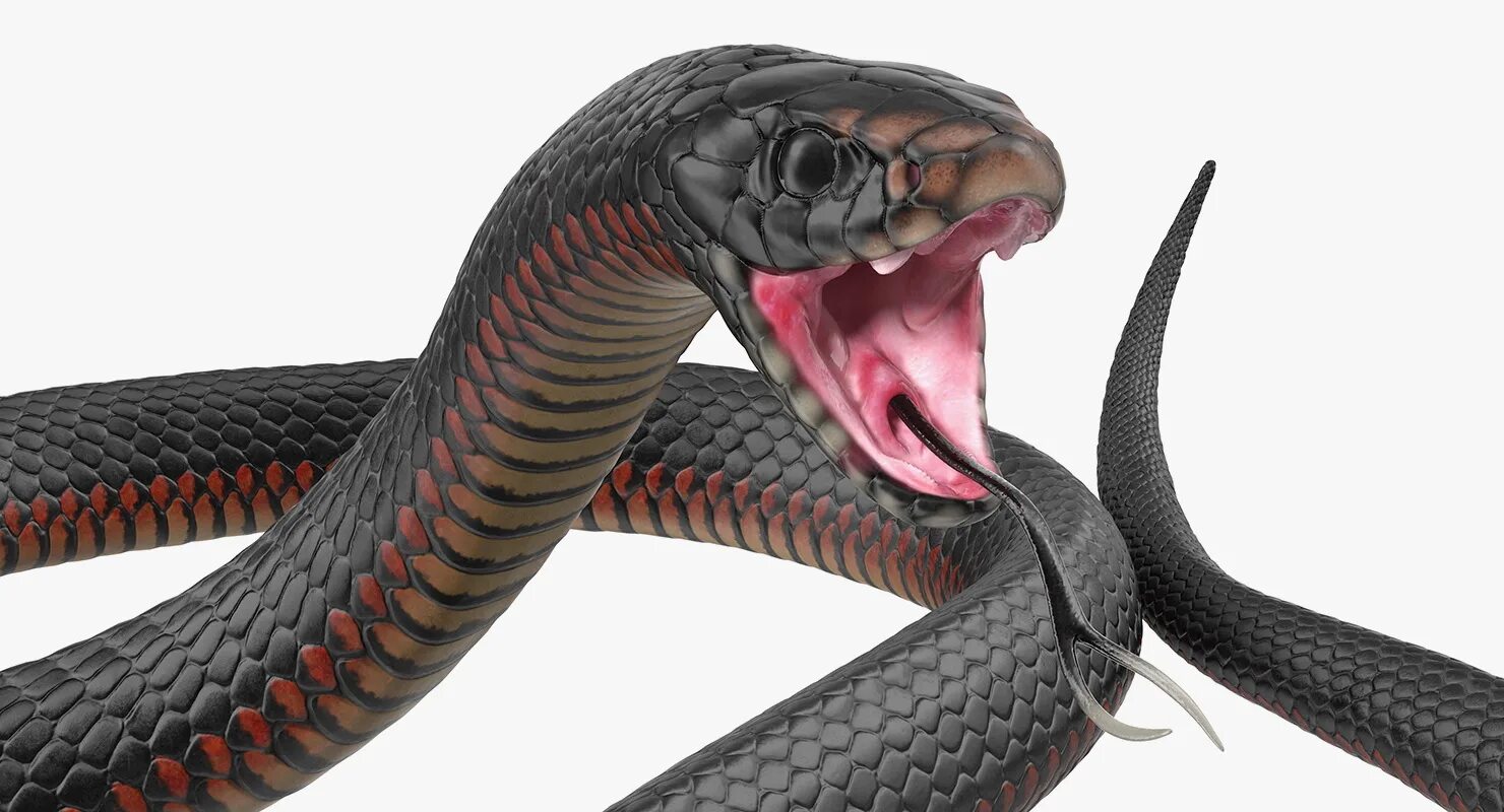 D snake. Змея 3д. Змея 3д модель. 3d модель змеи. Макет змеи.