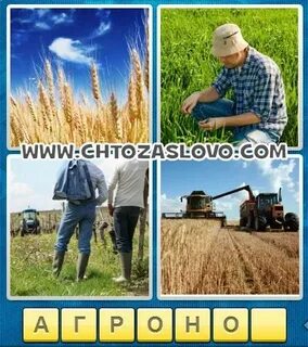 Ответы агронома