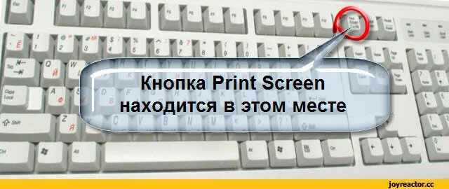 Ща крутой скрин сделаю. Мем скрин экрана. Print Screen Мем. Кнопка принт скрин Мем. Мемы с кнопкой Print Screen.