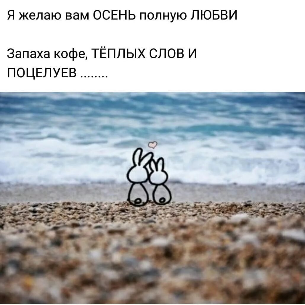 Жизнь избавляет отмусопа. Отпусти прошлое. Красивые высказывания о счастье в картинках. Чтобы в жизнь пришло что-то новое нужно освободить для него место. Радость от жизни цитаты.