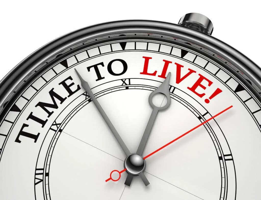 It s time to live. Time to live. time to live рисунок.
