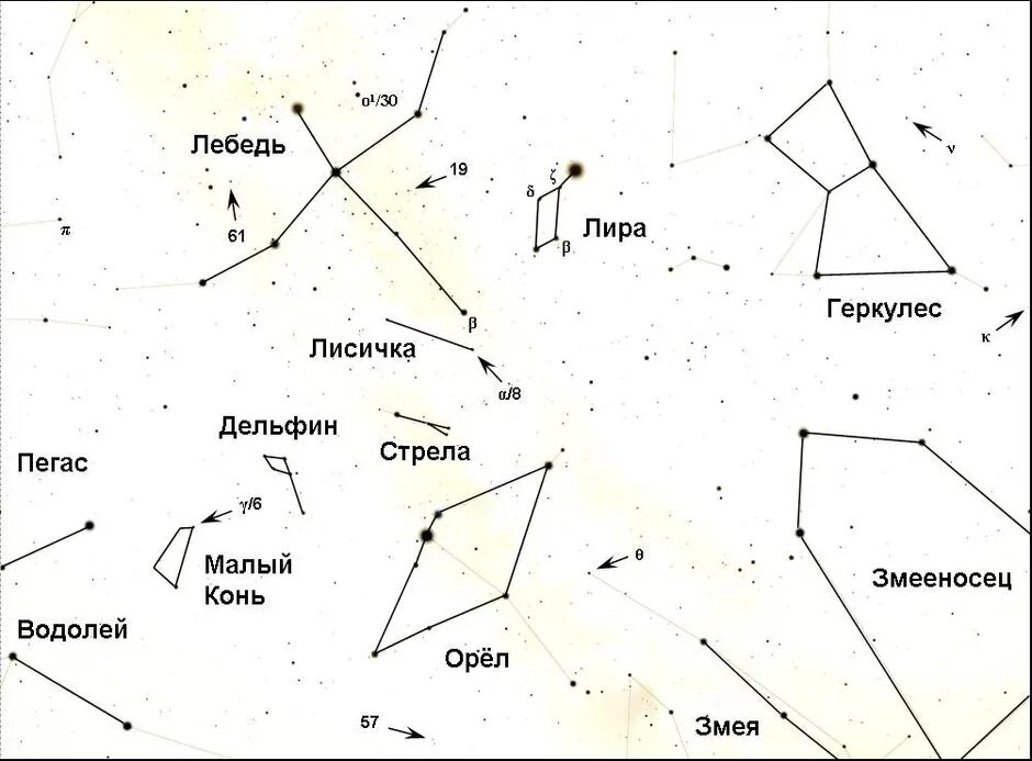 Какое 1 созвездие