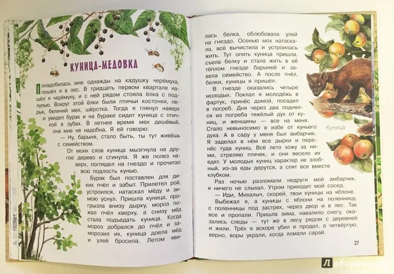 Маленький рассказ о природе. Произведения о природе. Рассказы Пришвина о природе. Природа в произведениях Пришвина.