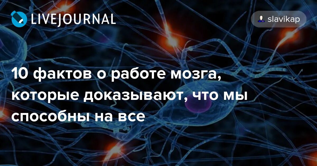 Интересные факты о мозге. Интересные факты о мозге человека. 5 Фактов о мозге человека. Интересные факты о работе мозга человека.