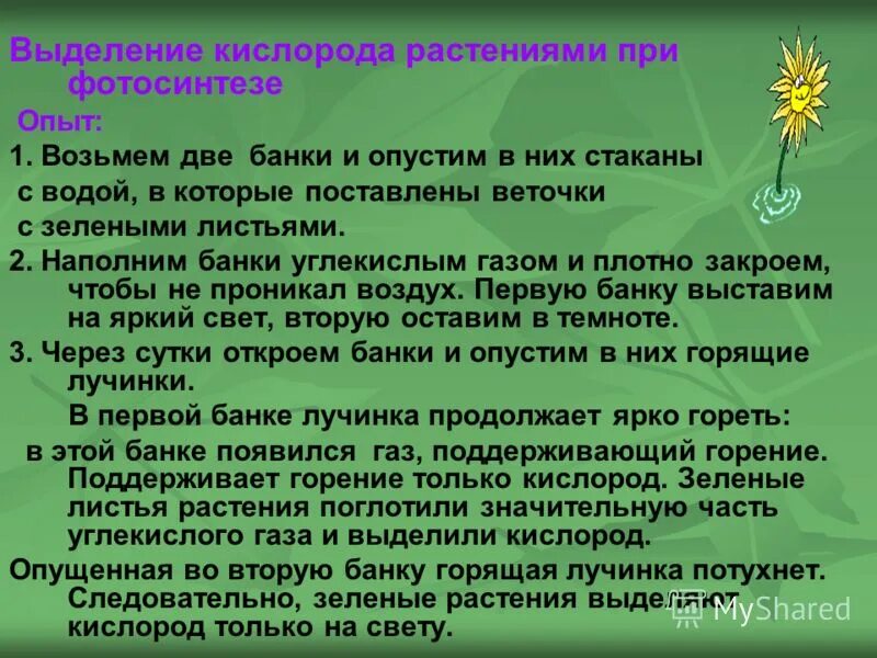 Выберите верное утверждение о минеральном питании растений