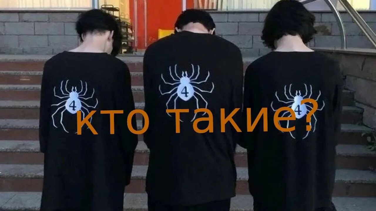 Чвк редан шмот. Чвк редан цифры. Молодежное движение паук 4. Штаны чвк редан. Чвк редан паук.