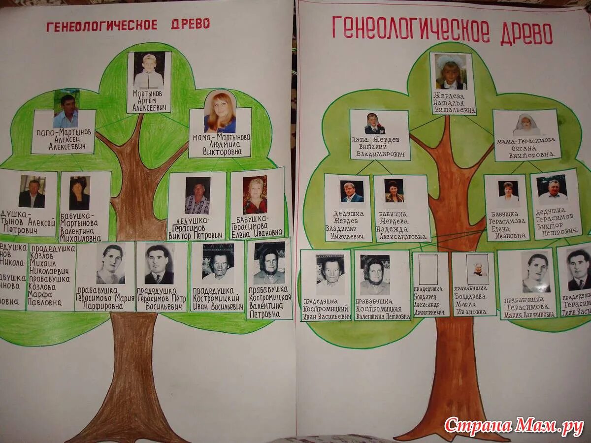 Родословная родословное древо история семьи 2 класс. Семейное дерево. Родословное дерево семьи. Проект родословная. Проект моя родословная.