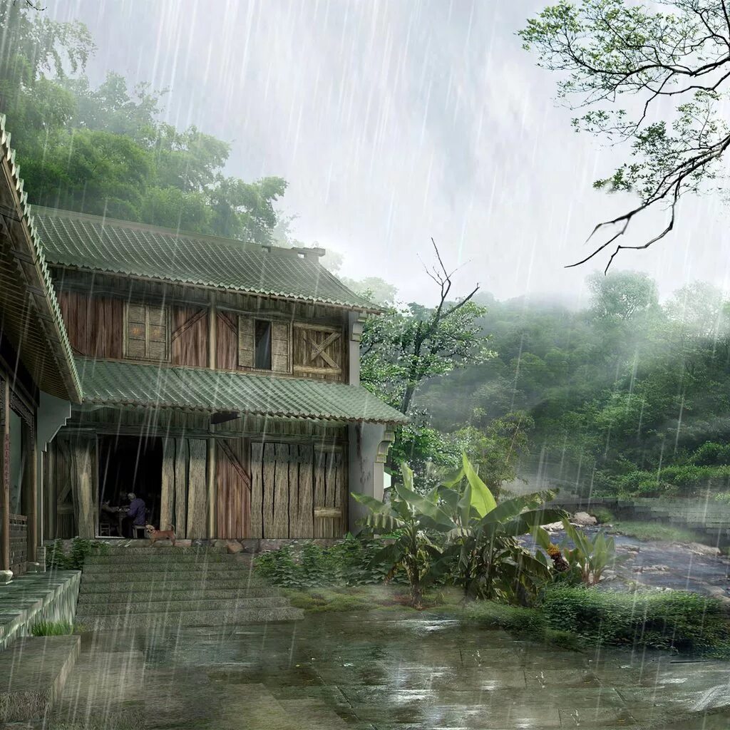 House of rain. Дом в лесу дождь. Японский дом в лесу. Дождь в Японии. Дом под дождем.