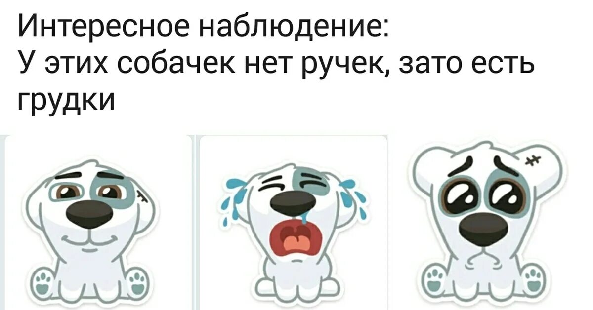 В императорском саду живет собака вк. Собака ВК. Мертвая собака ВК. Стикеры ВК собака. Собачка ВК прикол.