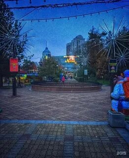 Лев хабаровск