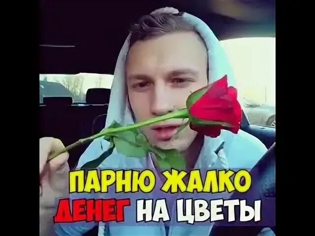 Жалко цветы