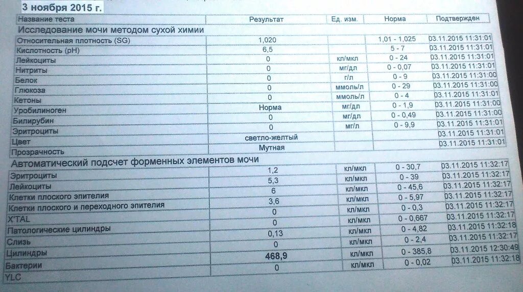 Высокие бактерии в моче. Расшифровка ОАМ бактерии. Общий анализ мочи бактерии. Исследование мочи на на бактерии. Показатель бактерий в моче.