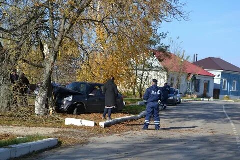 Погода в пронске на 10
