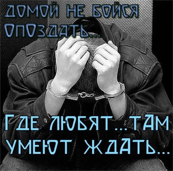 Уехал на рыбалку. Я не умею там. Анекдоты карикатуры. Рыбалка наливай да пей. Недовольный толстый кот.