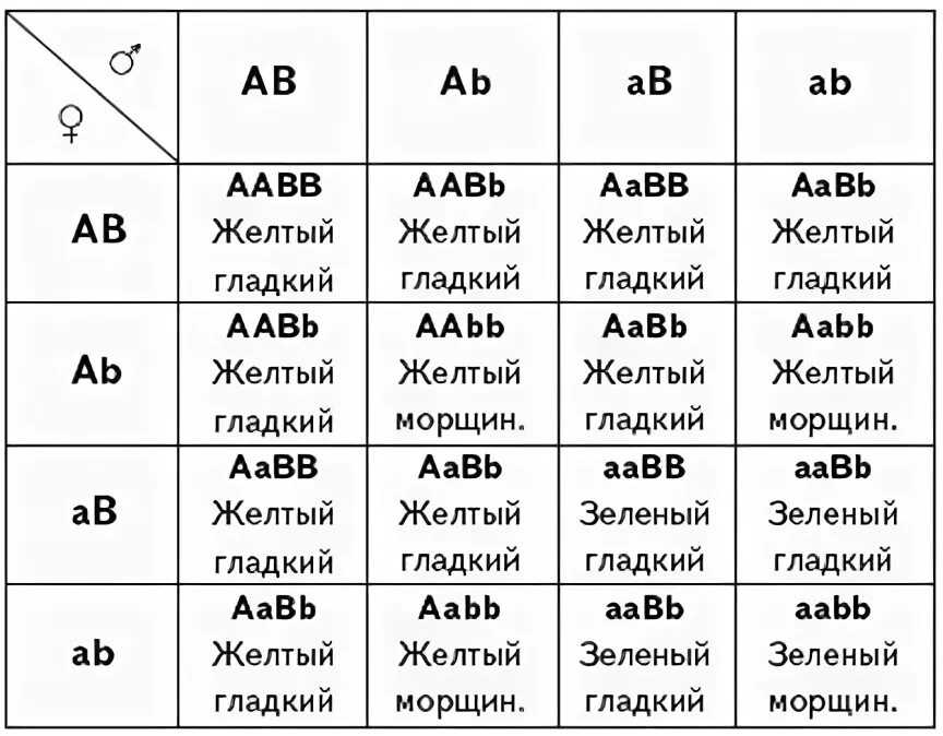 Таблица дигибридного скрещивания. Дигибридное скрещивание решетка Пеннета таблица. Решетка Пеннета 3 закон. Независимое наследование решетка Пеннета. Как скрещивать палов