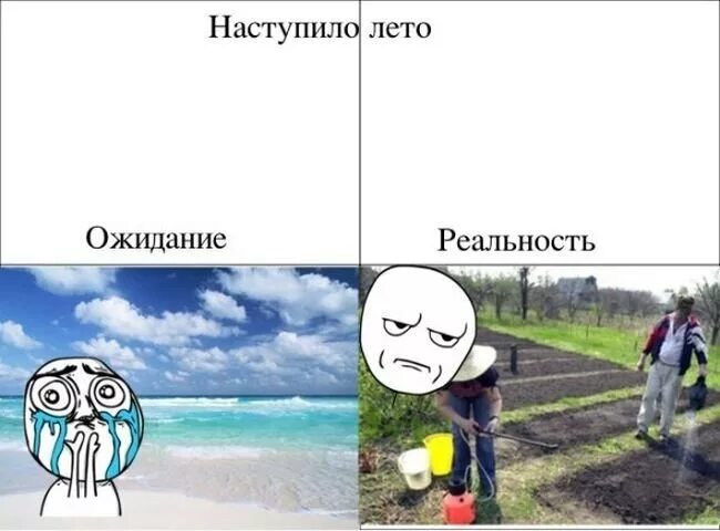 Глупое лето